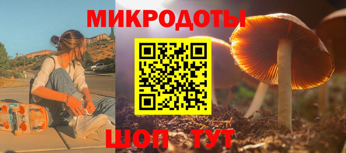 Малоярославец  Псилоцибиновые грибы ЛСД  Псилоцибиновые грибы Psilocybe  Вход с VPN 