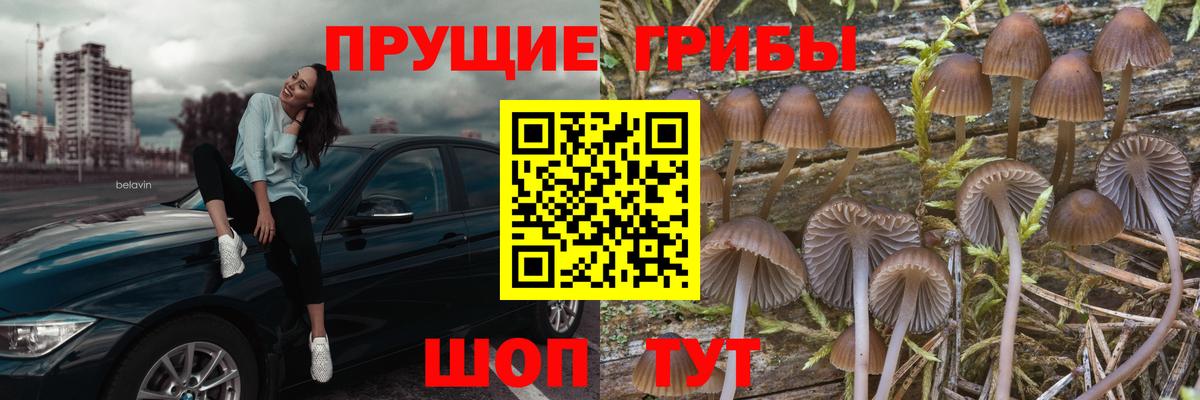 Псилоцибиновые грибы MAGIC MUSHROOMS Малоярославец