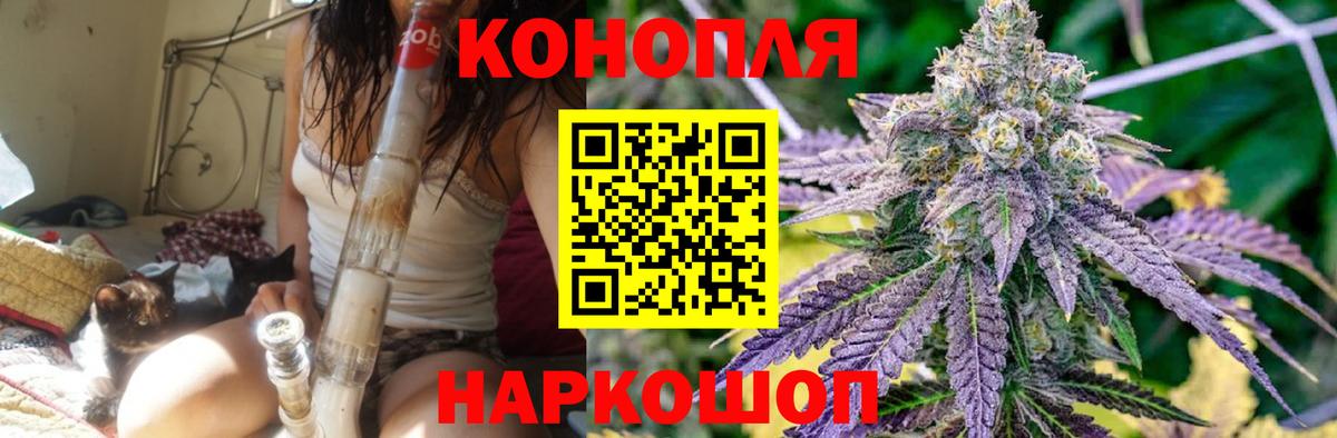 Марихуана сатива Малоярославец